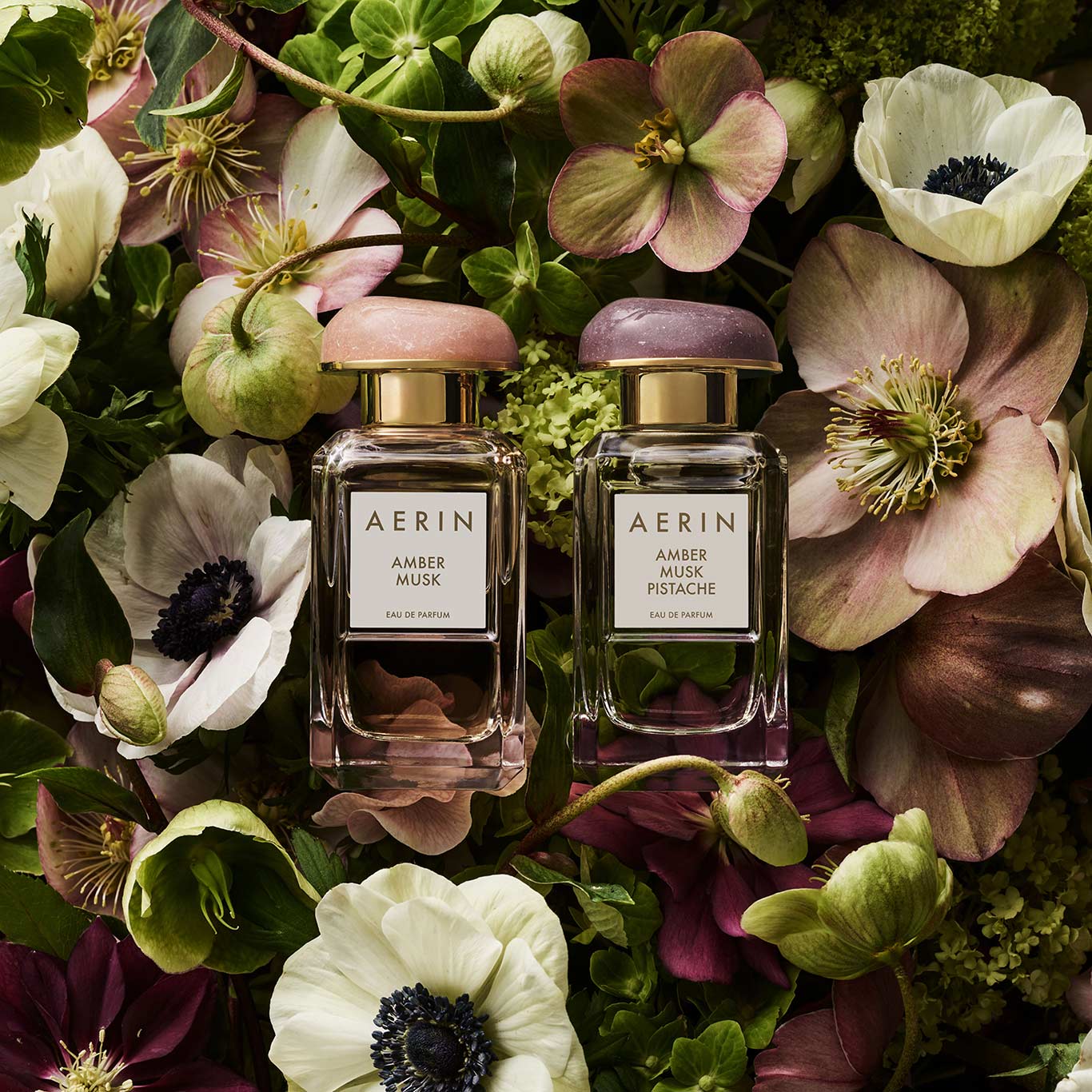Discover AERIN Fragrances